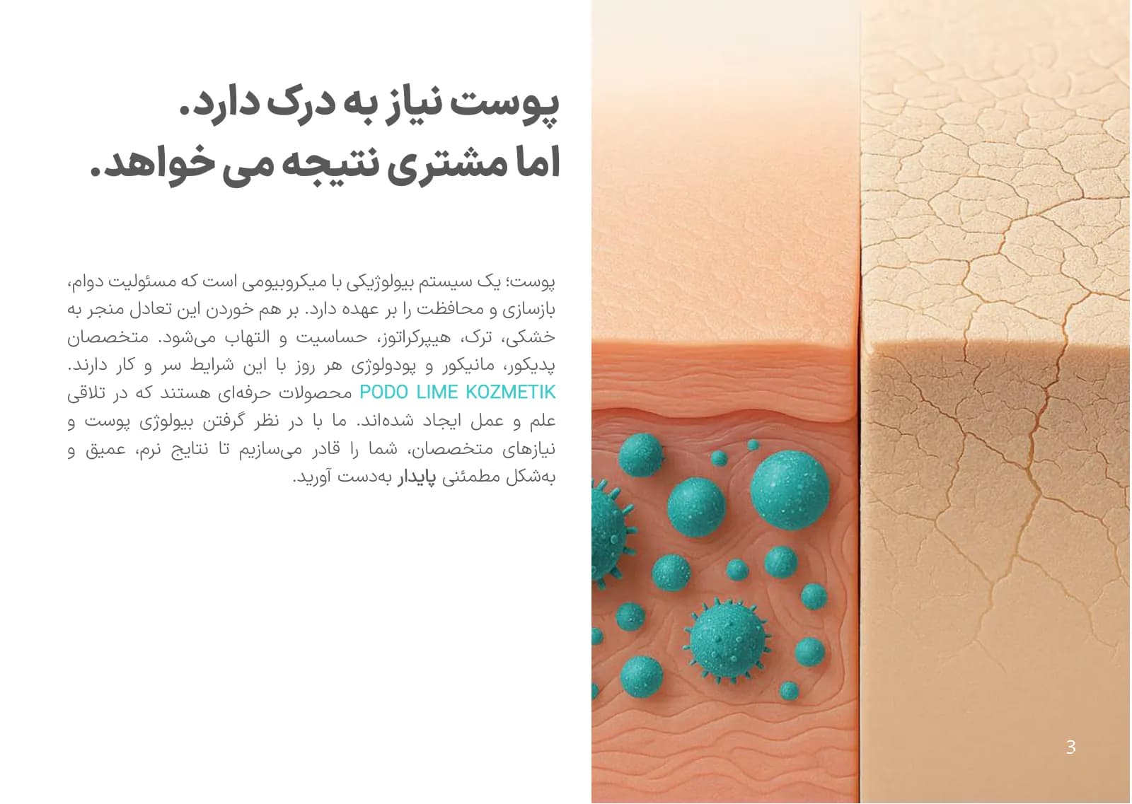 صفحه ۳ کاتالوگ پودولایم