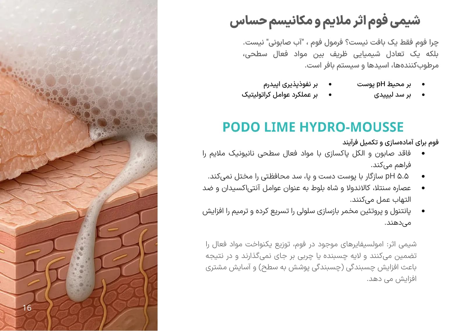 صفحه ۱۶ کاتالوگ پودولایم