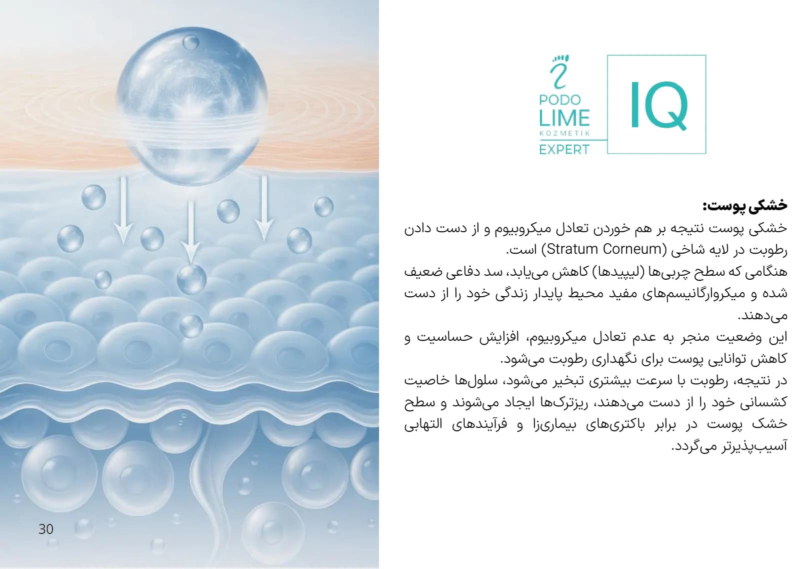 صفحه ۳۰ کاتالوگ پودولایم