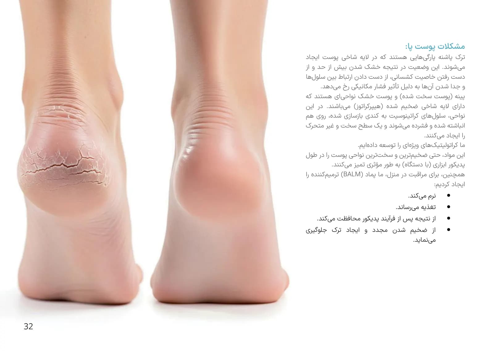 صفحه ۳۲ کاتالوگ پودولایم